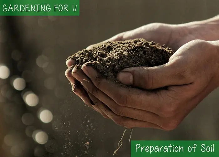 Preparation of soil