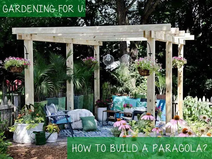 How to build a paragola