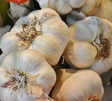 Buy Garlic on Amazon