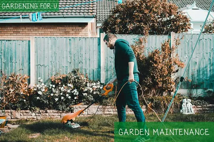 Garden Maintenance