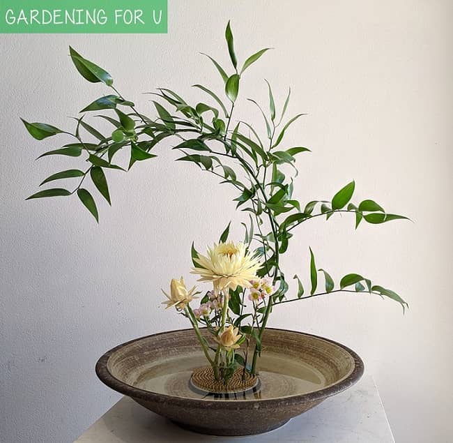 Ikebana for Beginners