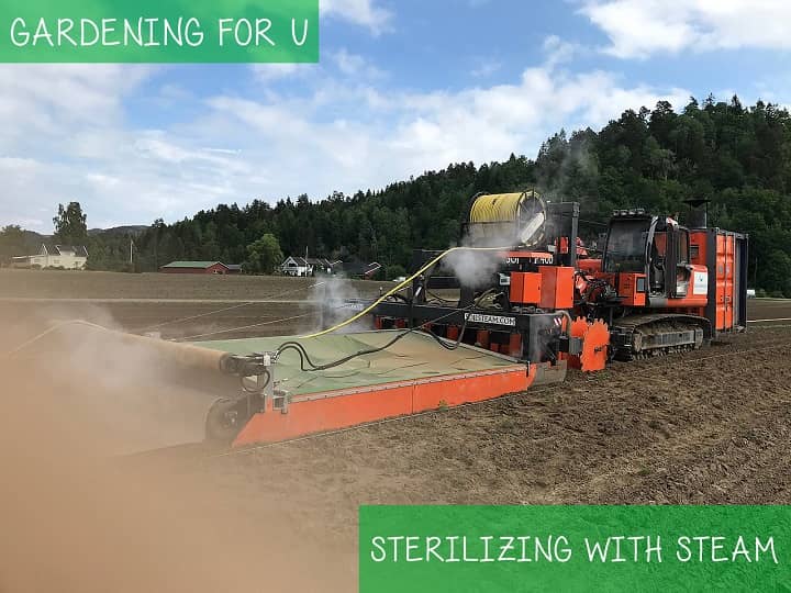 Sterilize Soil with Steam