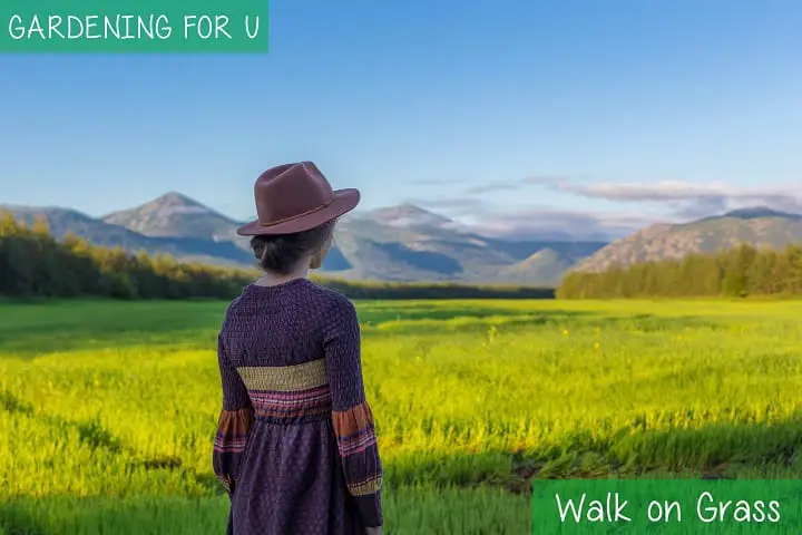 Walk on Grass