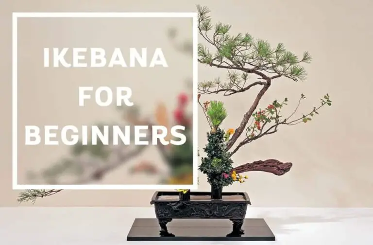 What is Ikebana? Ikebana for Beginners (2023 Guide)