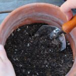 Does sterilizing soil remove nutrients?