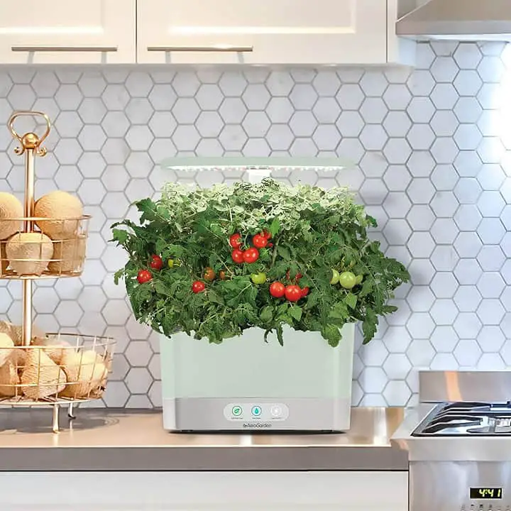 AeroGarden Sage Harvest Indoor Garden, 2019 Model