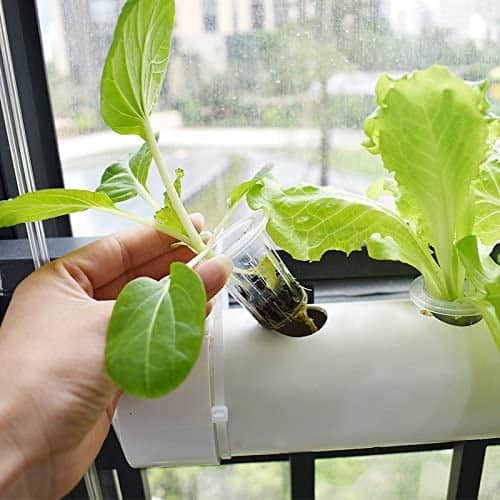 INTBUYING Wall-mounted Hydroponic Grow Kit