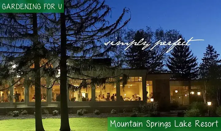 Mountain Springs Lake Resort