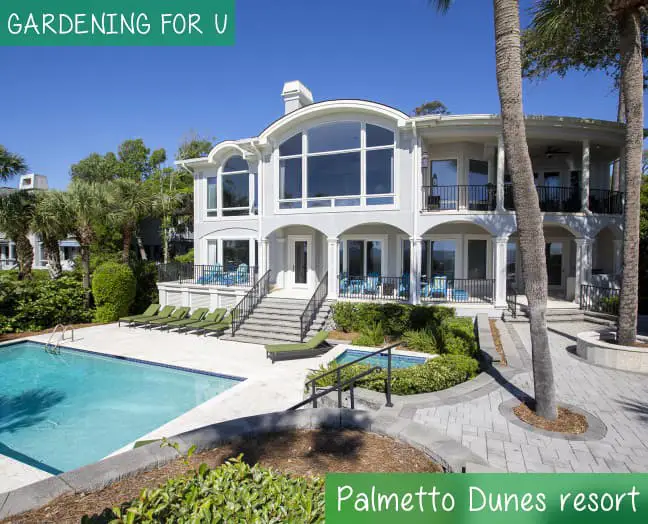 Palmetto Dunes resort
