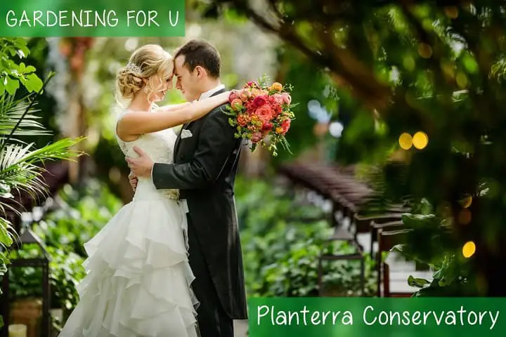 Planterra Conservatory