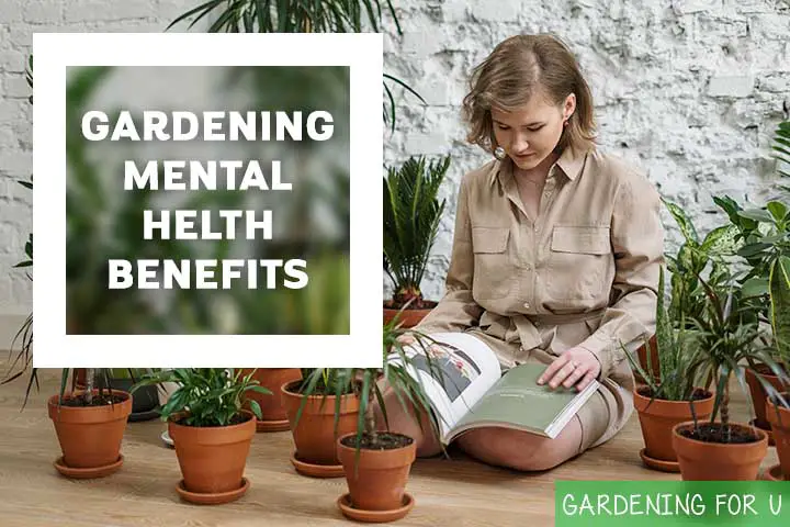 Mental Health Benefits Of Gardening