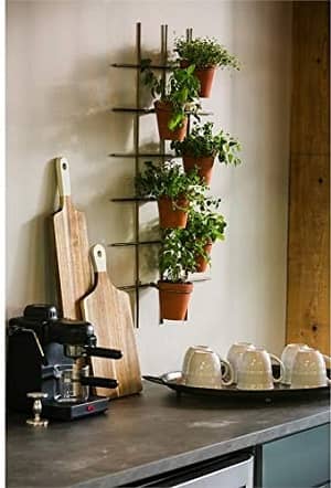 Cape Craftsmen Metal Wall Plant Holder with 6 Terracotta Pots