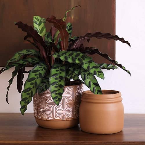 Ceramic Flower Plant Pots - 6.3 + 4.5 Inch Clay Pottery Terracotta Pots,