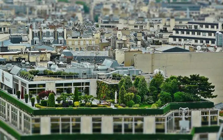 How to Build A Rooftop Garden