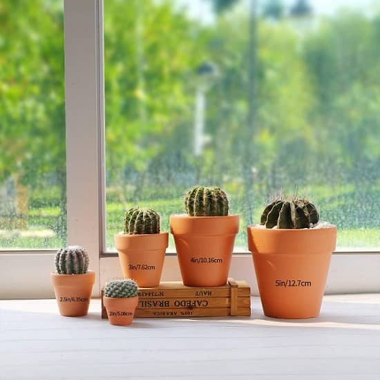 T4U 5 Inch Terracotta Clay Pots Pack of 6 - Mini Hand Craft Nursery Plant Pot