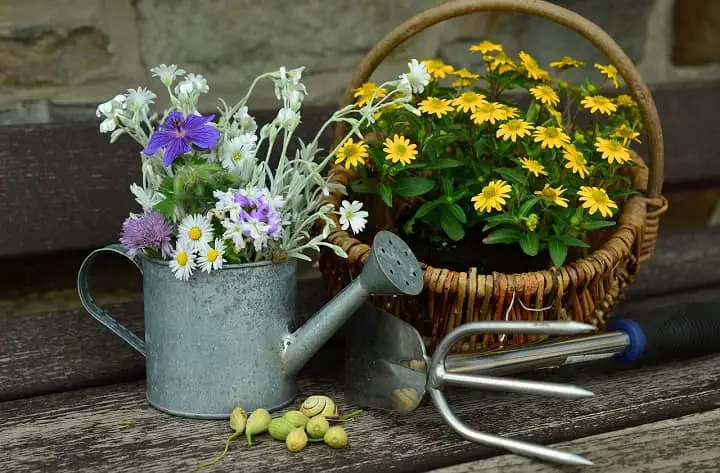Top 7 Best Watering Cans in 2021