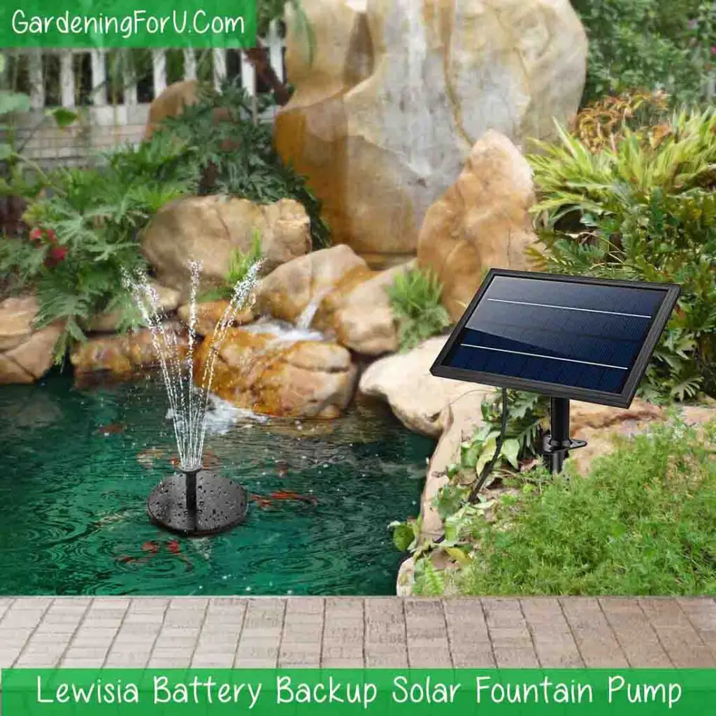Lewisia Battery Backup Solar Fountain Pump