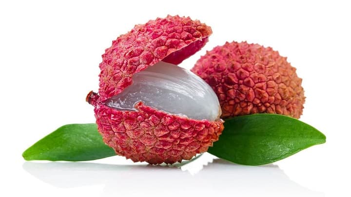 Lychee