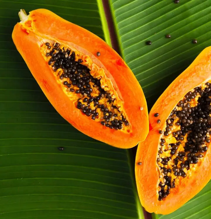 Papaya