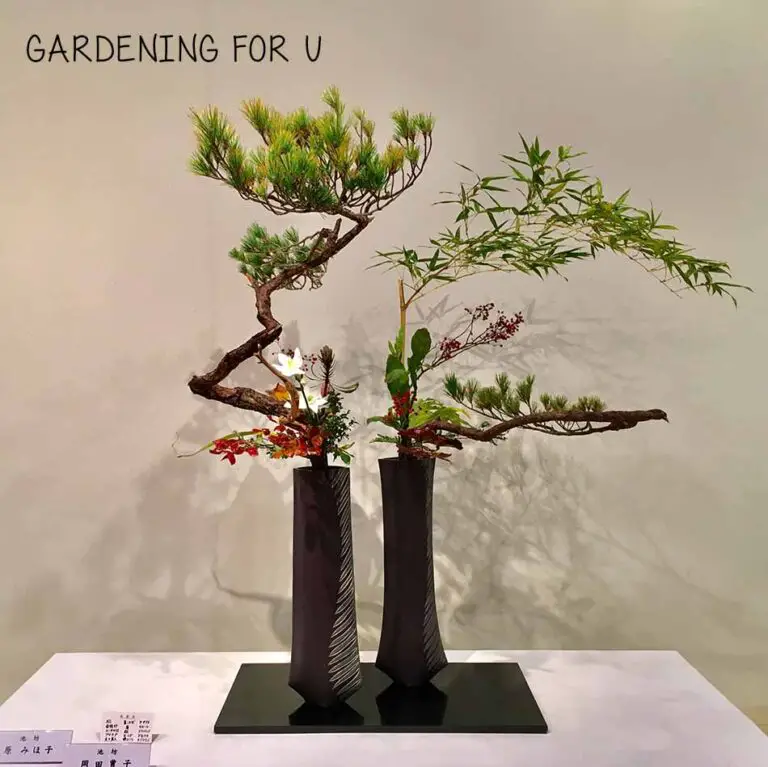 What is Ikebana? Ikebana for Beginners (2023 Guide)