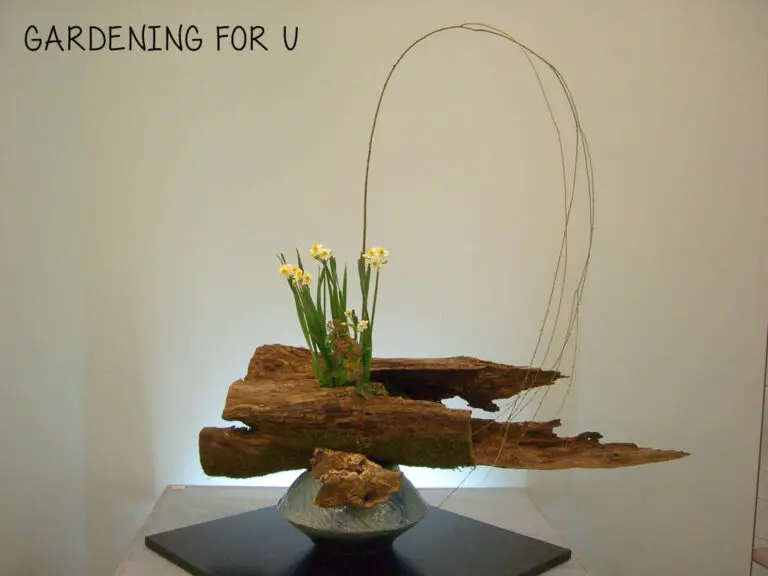 What is Ikebana? Ikebana for Beginners (2023 Guide)