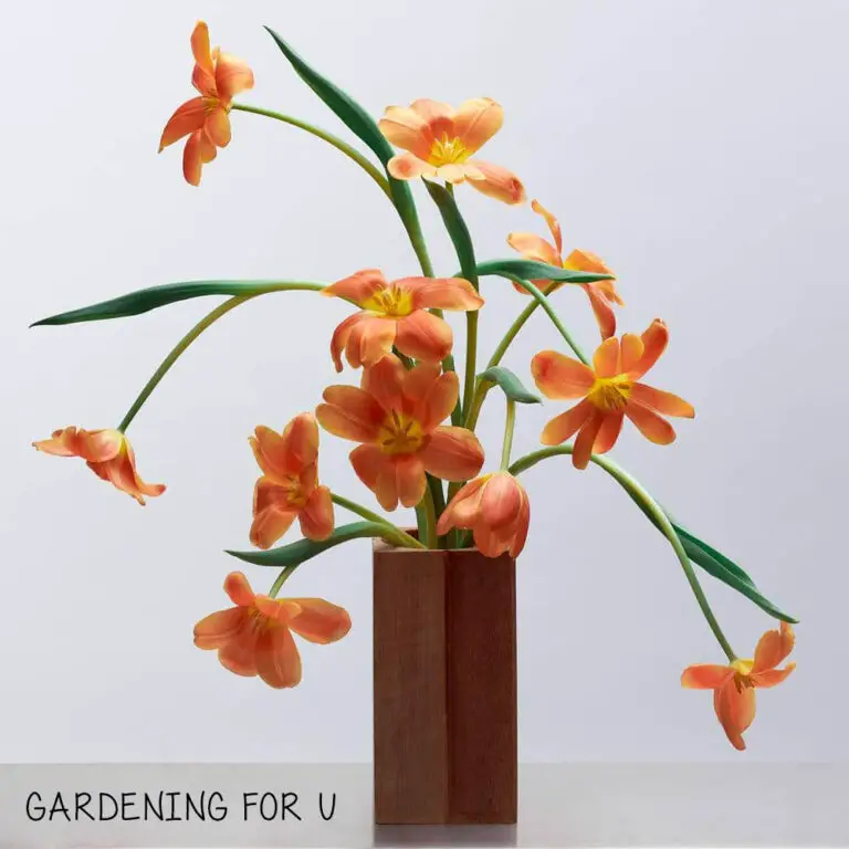 What Is Ikebana? |Ikebana For Beginners (2023 Guide)