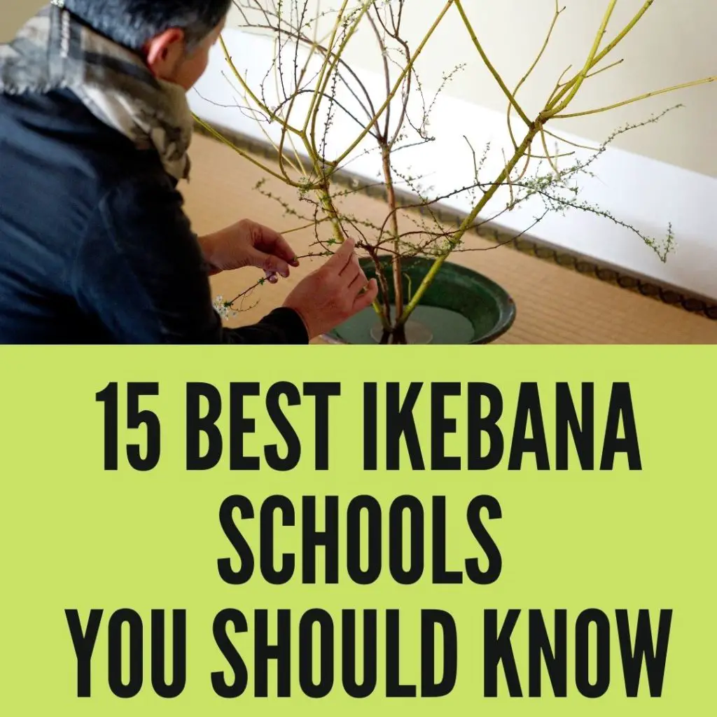 15 Best Ikebana Schools That You Should Know