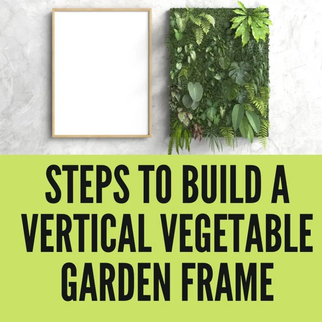 5 Easy Steps to Build A Vertical Vegetable Garden Frame