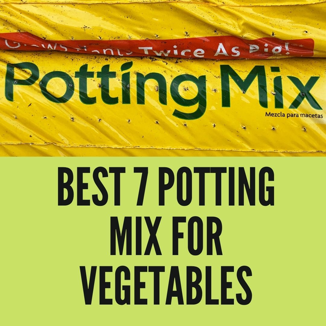 Best 7 Potting Mix For Vegetables In 2023 Gardening For You