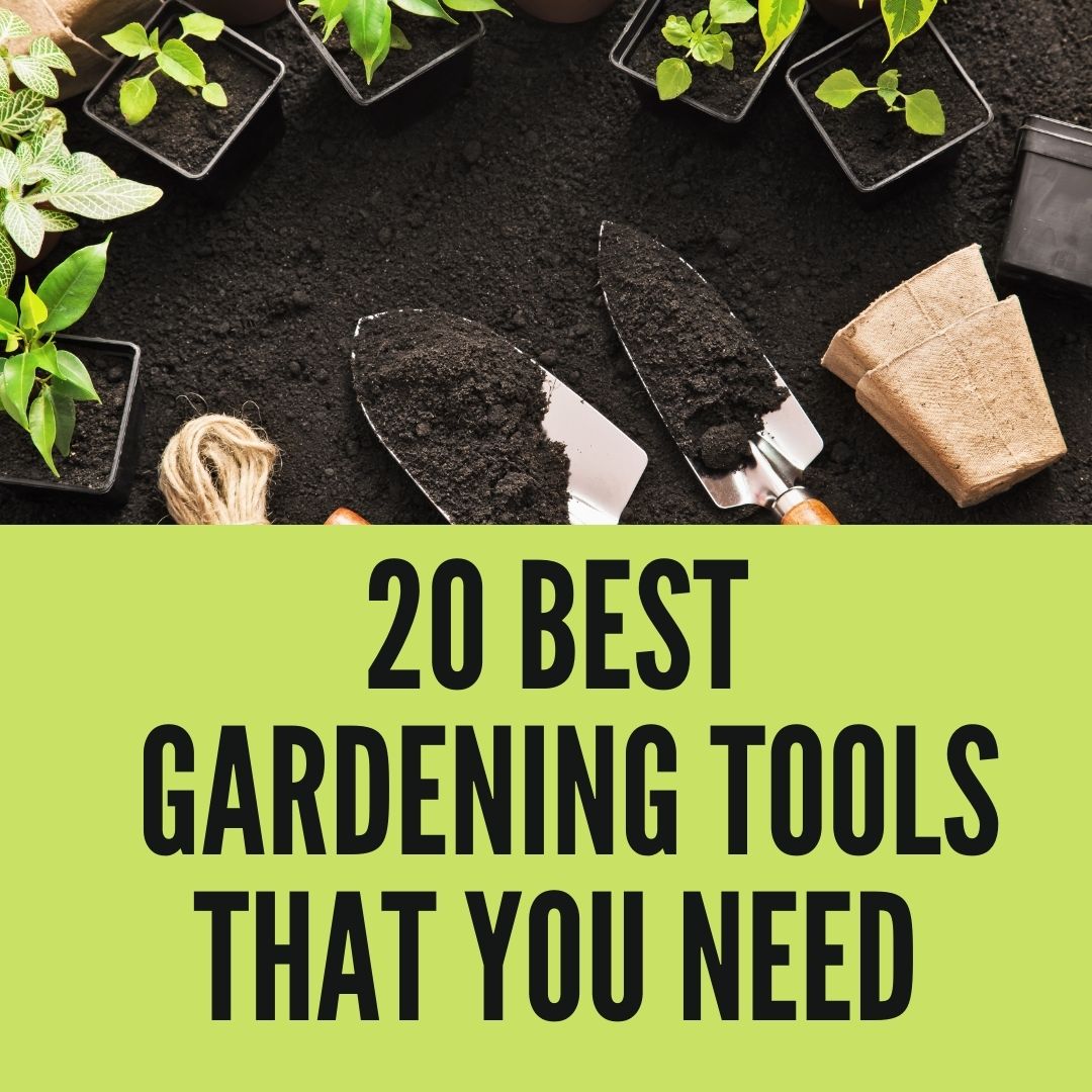 Best Gardening Tools that You Need