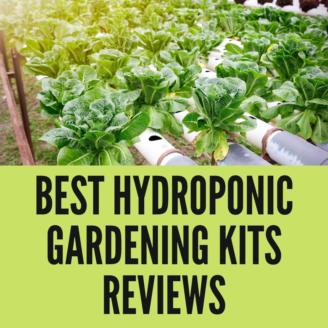 Best Hydroponic Gardening Kits Reviews