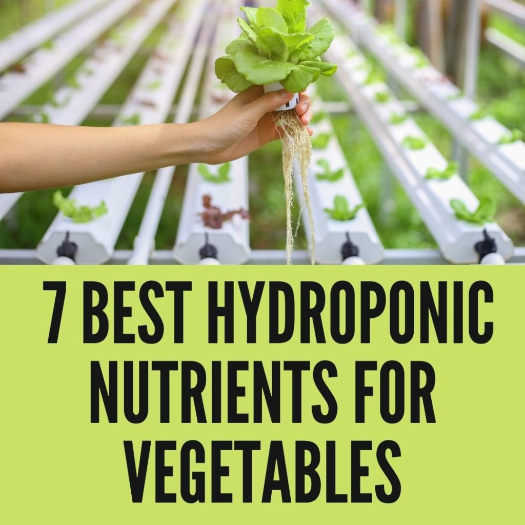 Hydroponics Nutrients Thumbnail