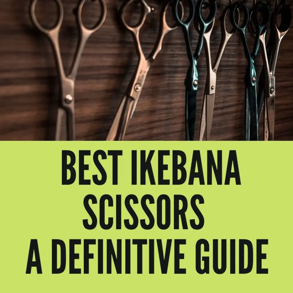 Best Ikebana Scissors