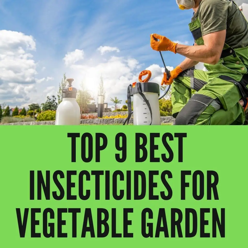 Best Insecticides for Vegetable Garden