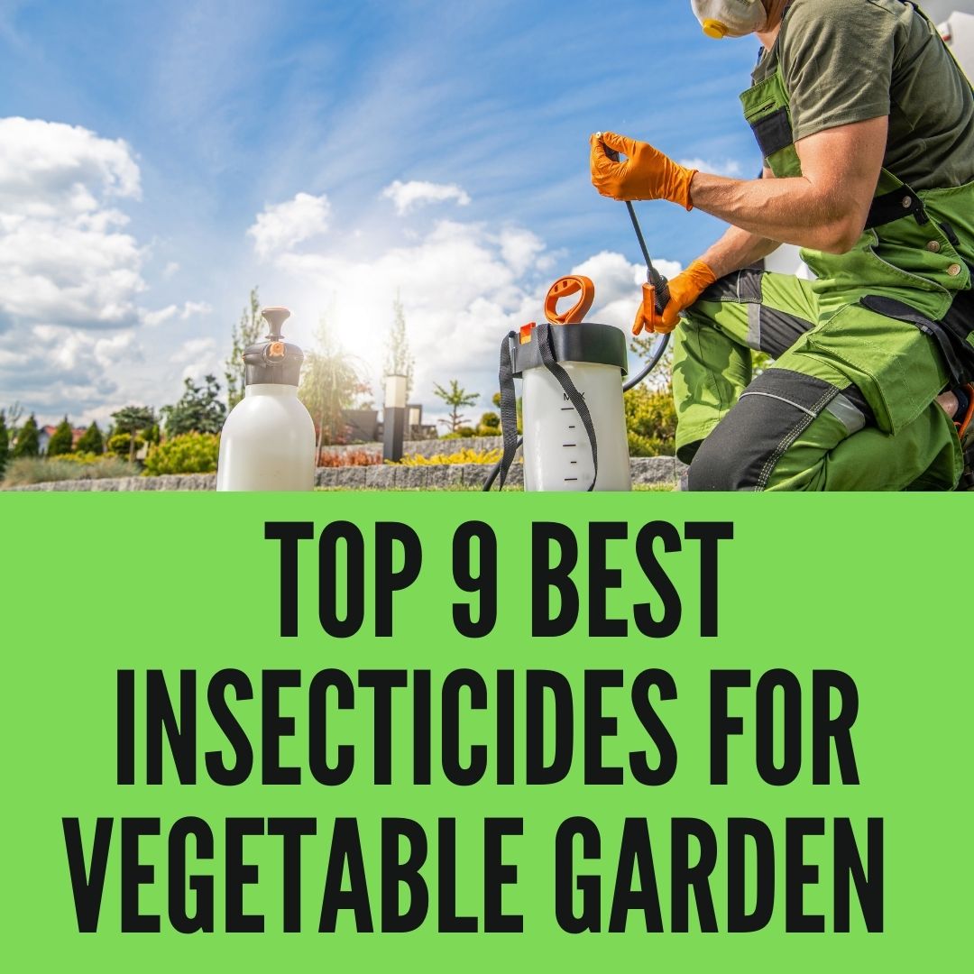 Top 9 Best Insecticide for Vegetable Garden in 2023