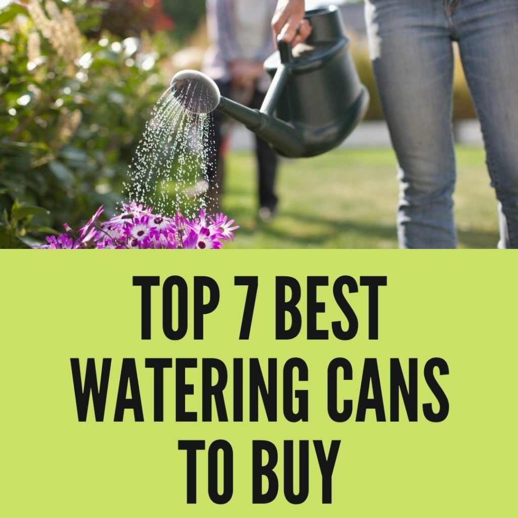 Best Watering Cans to Buy