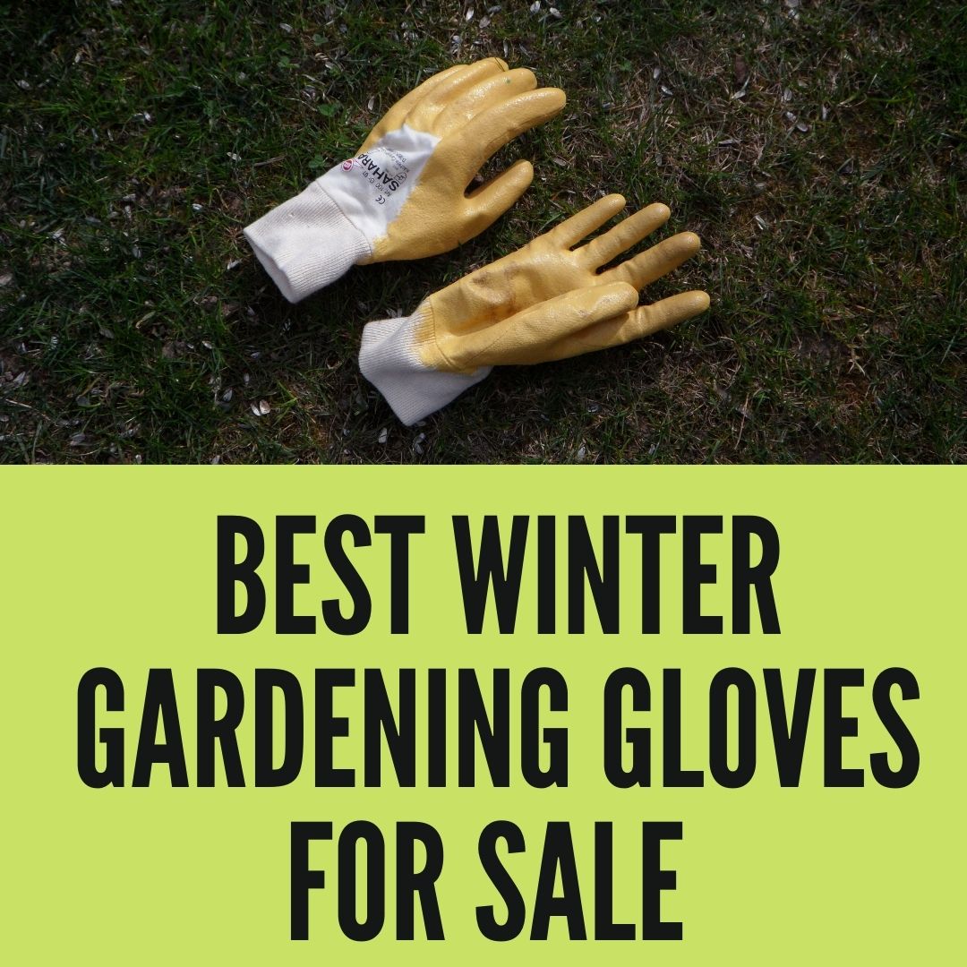 Best Winter Gardening Gloves For Sale