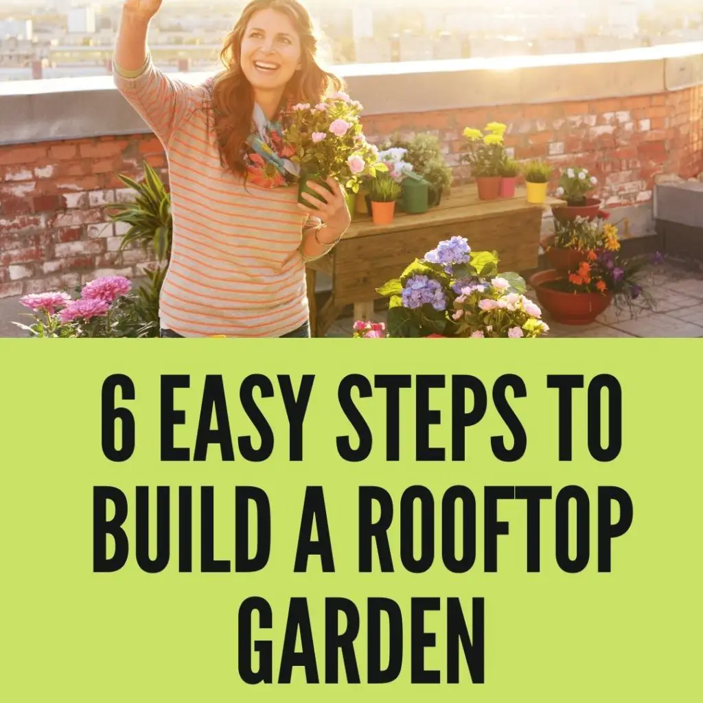 6 Easy Steps To Build a Rooftop Garden