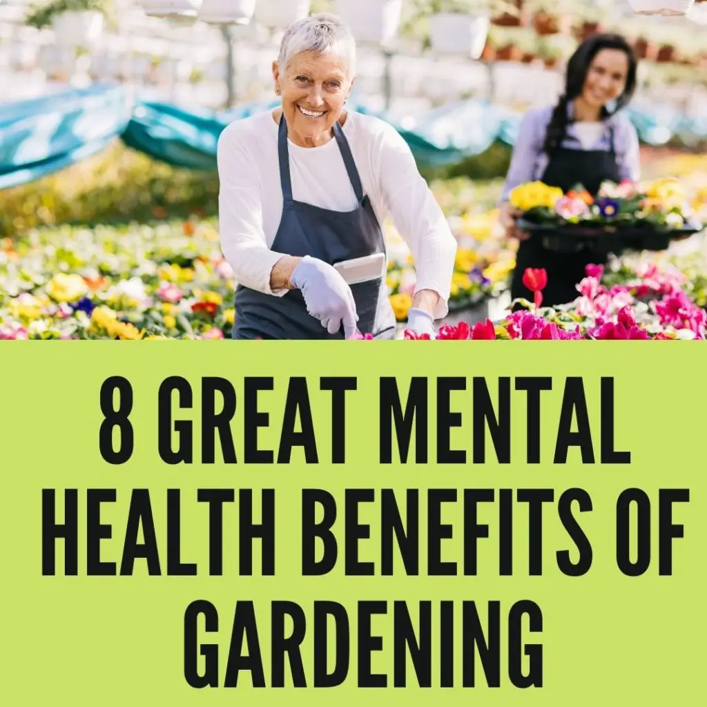 8 Great Mental Health Benefits Of Gardening