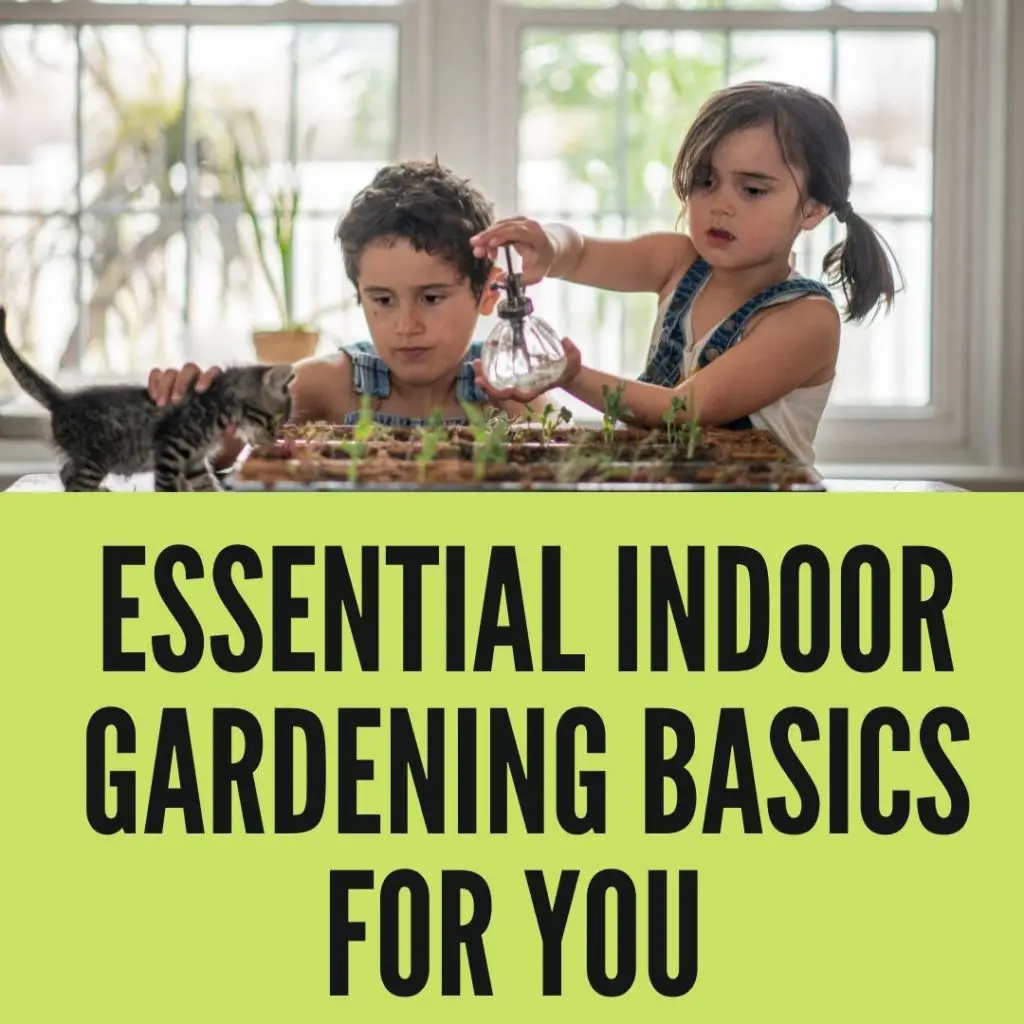 Essential Indoor Gardening Basics