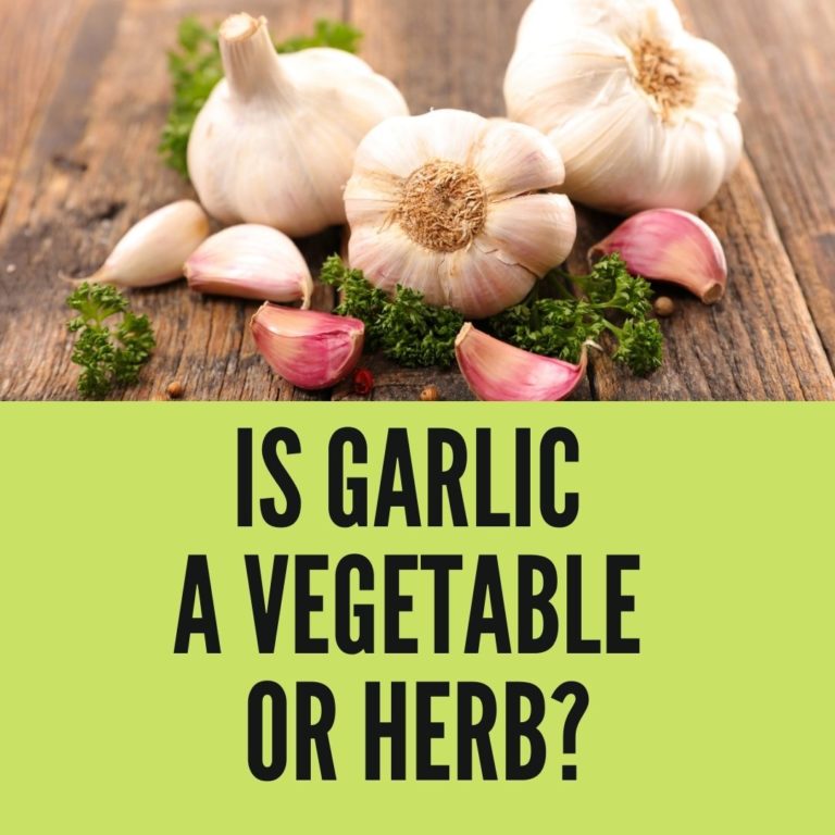 Is Garlic A Vegetable or Herb? (2021)
