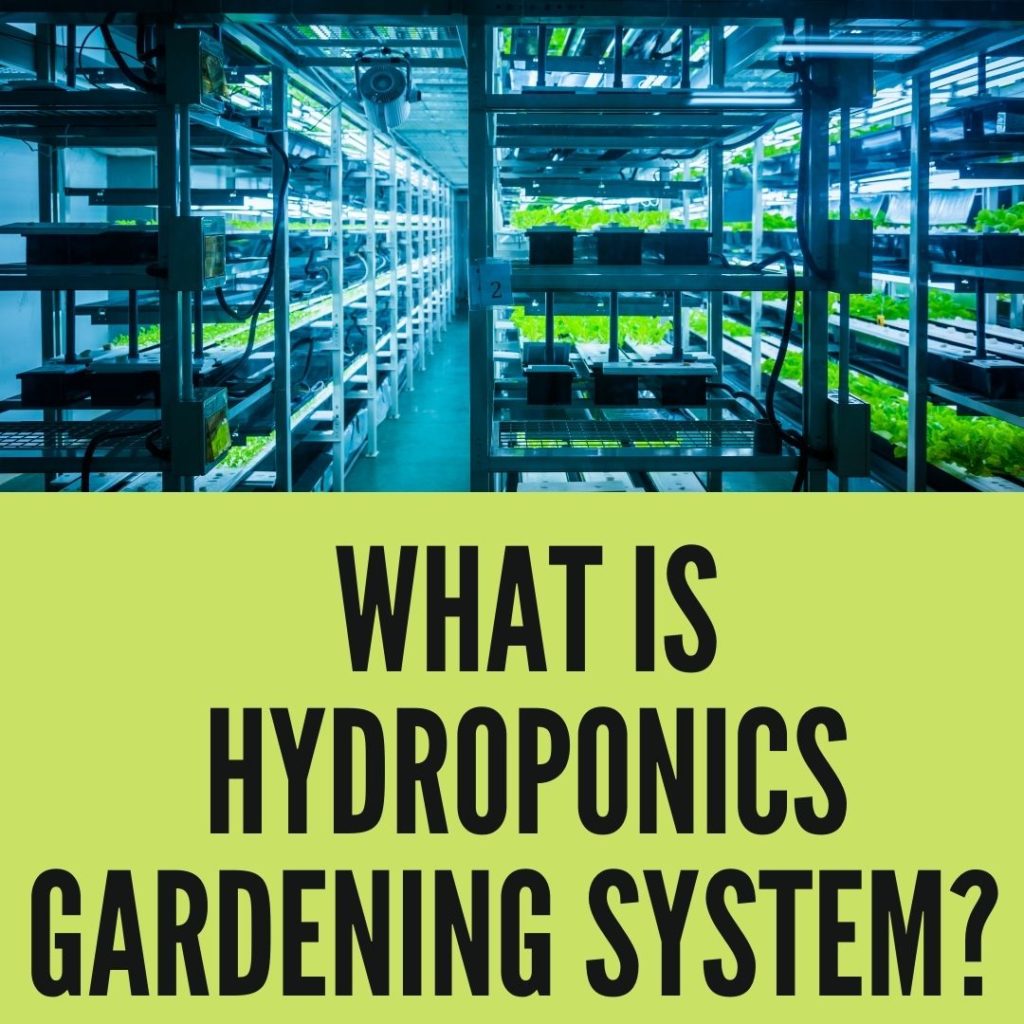 What Is Hydroponics Gardening System
