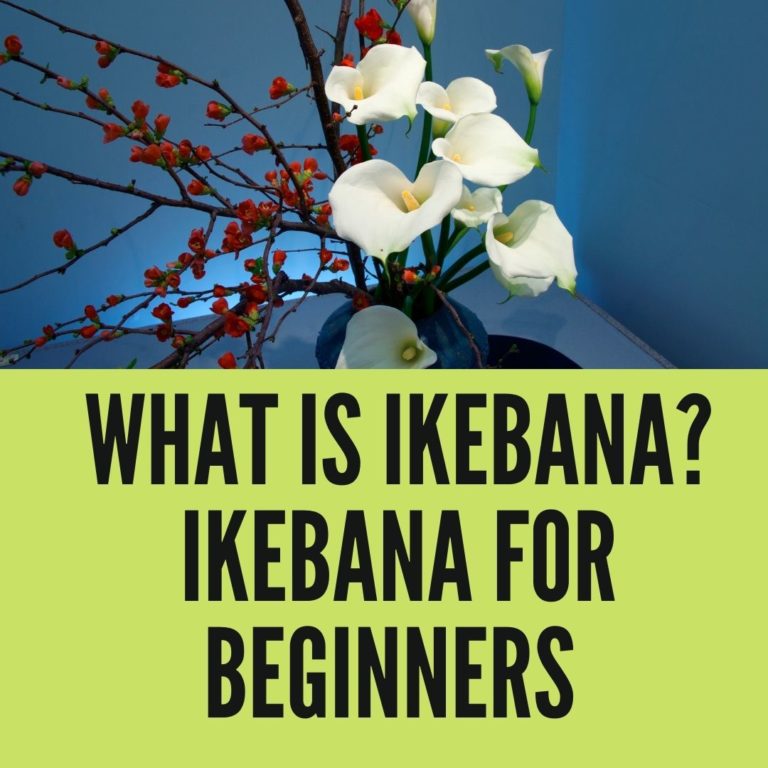 What is Ikebana? Ikebana for Beginners (2021)