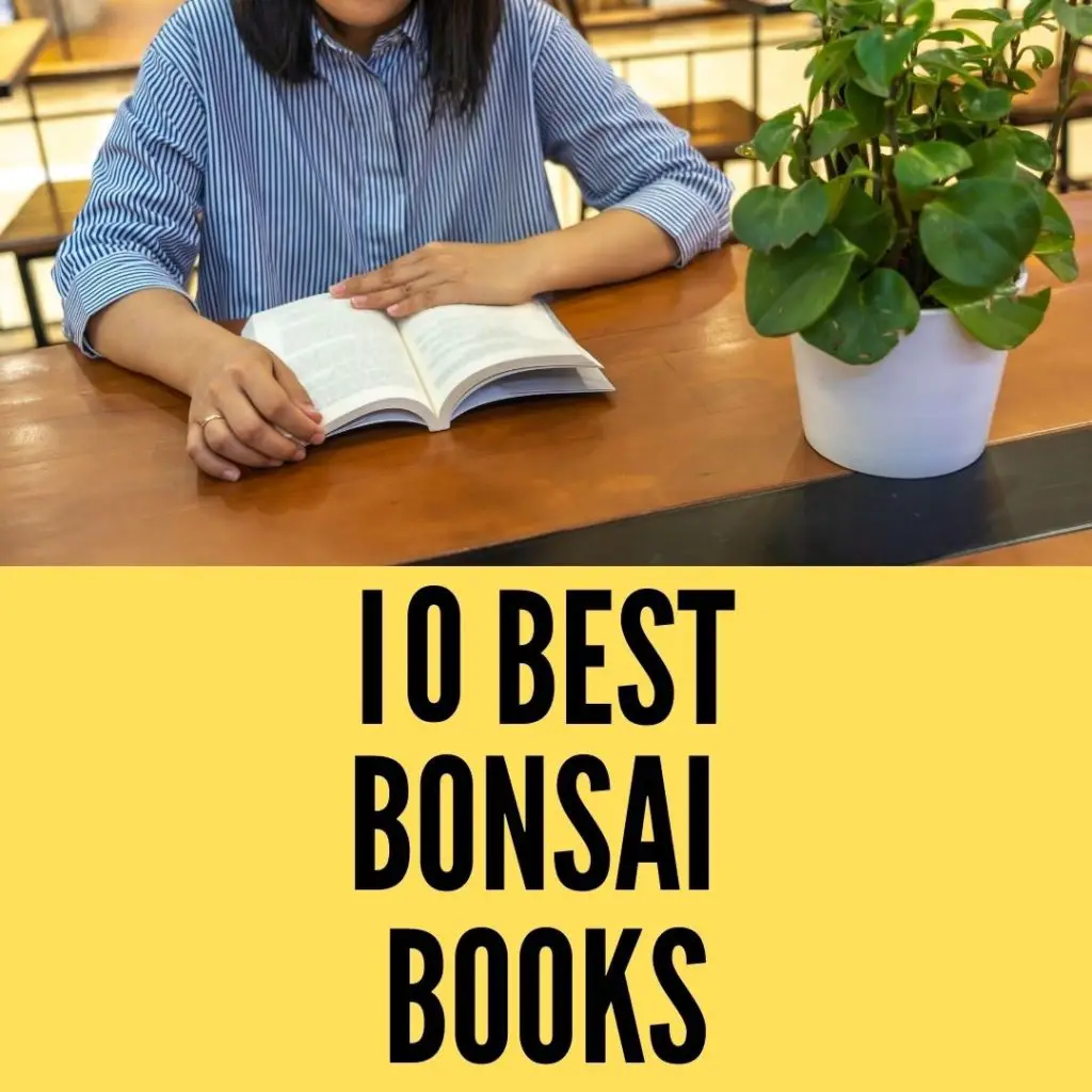 best bonsai books
