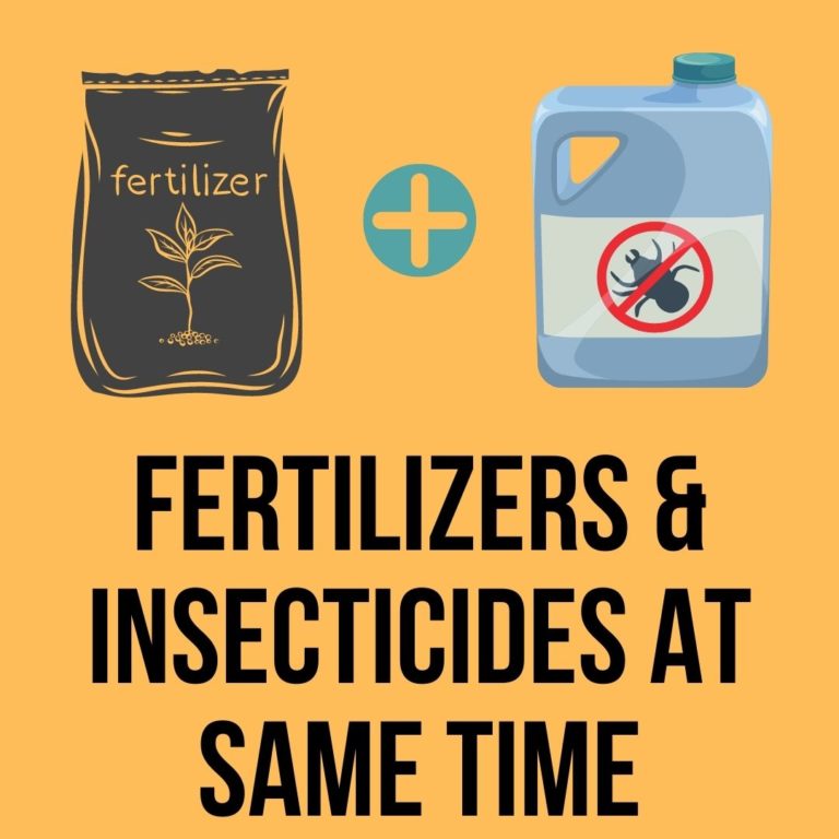Can I Apply Insecticides And Fertilizers At The Same Time