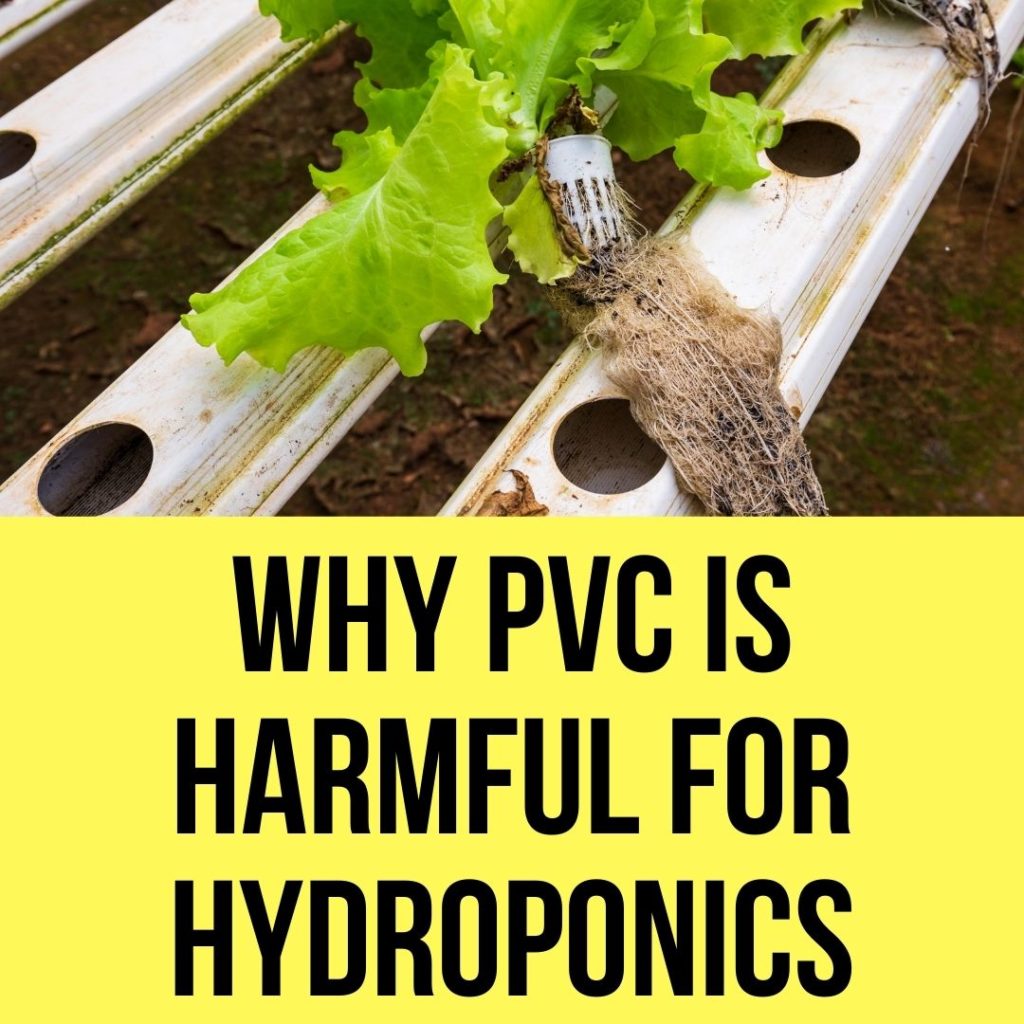 Is Pvc Harmful For Hydroponics?