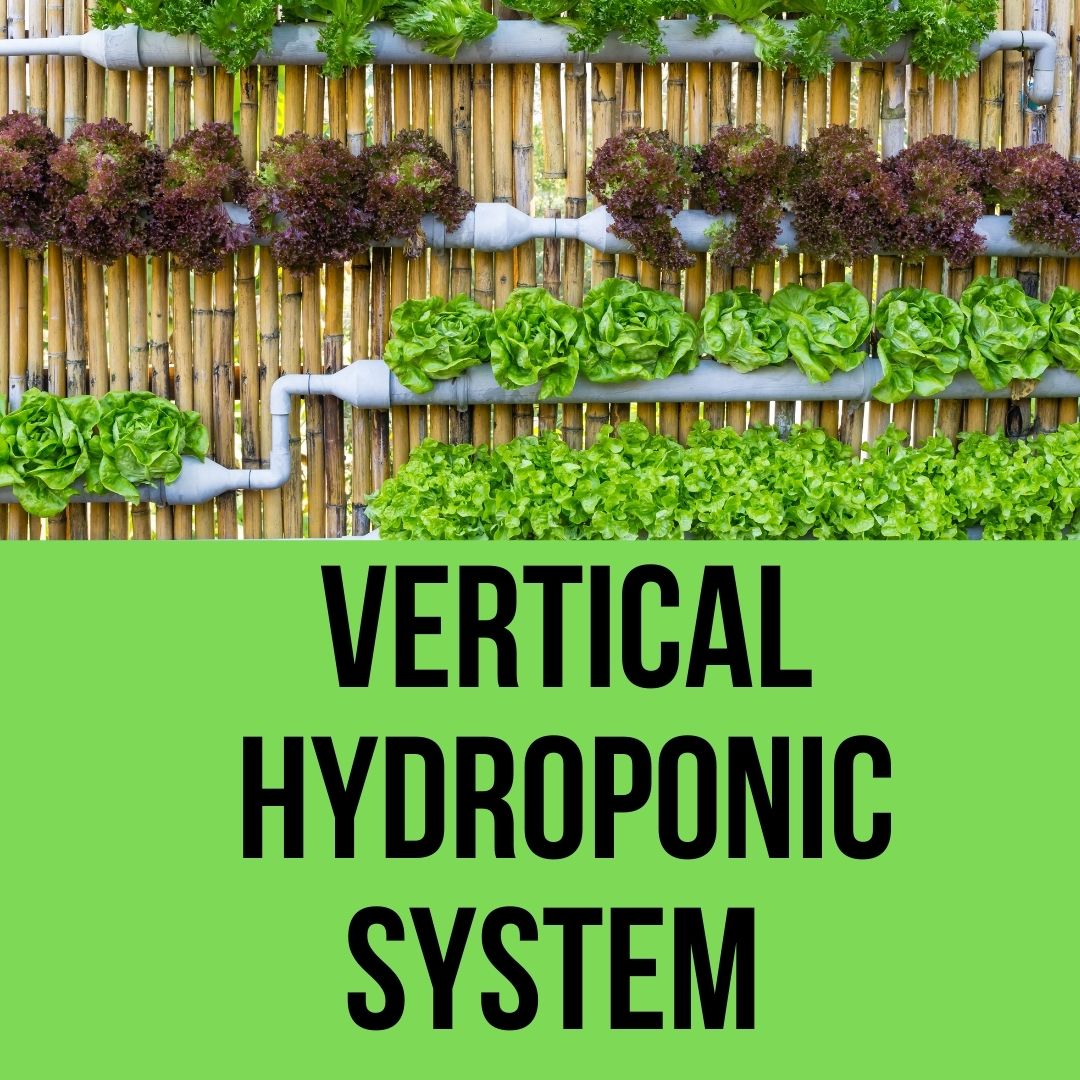 Vertical Hydroponic System