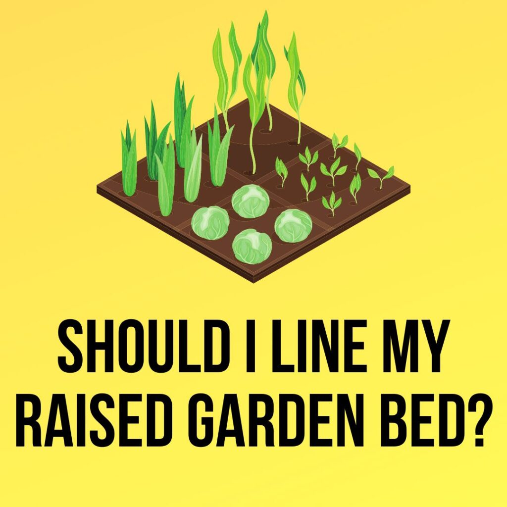 Should I Line My Raised Garden Bed?