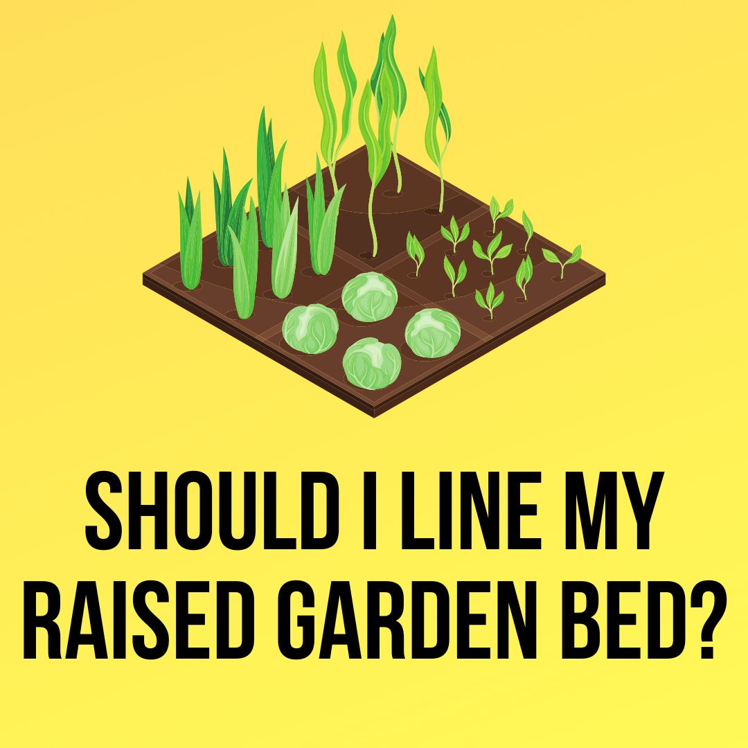 Should I Line My Raised Garden Bed? Honest Answer (2023)