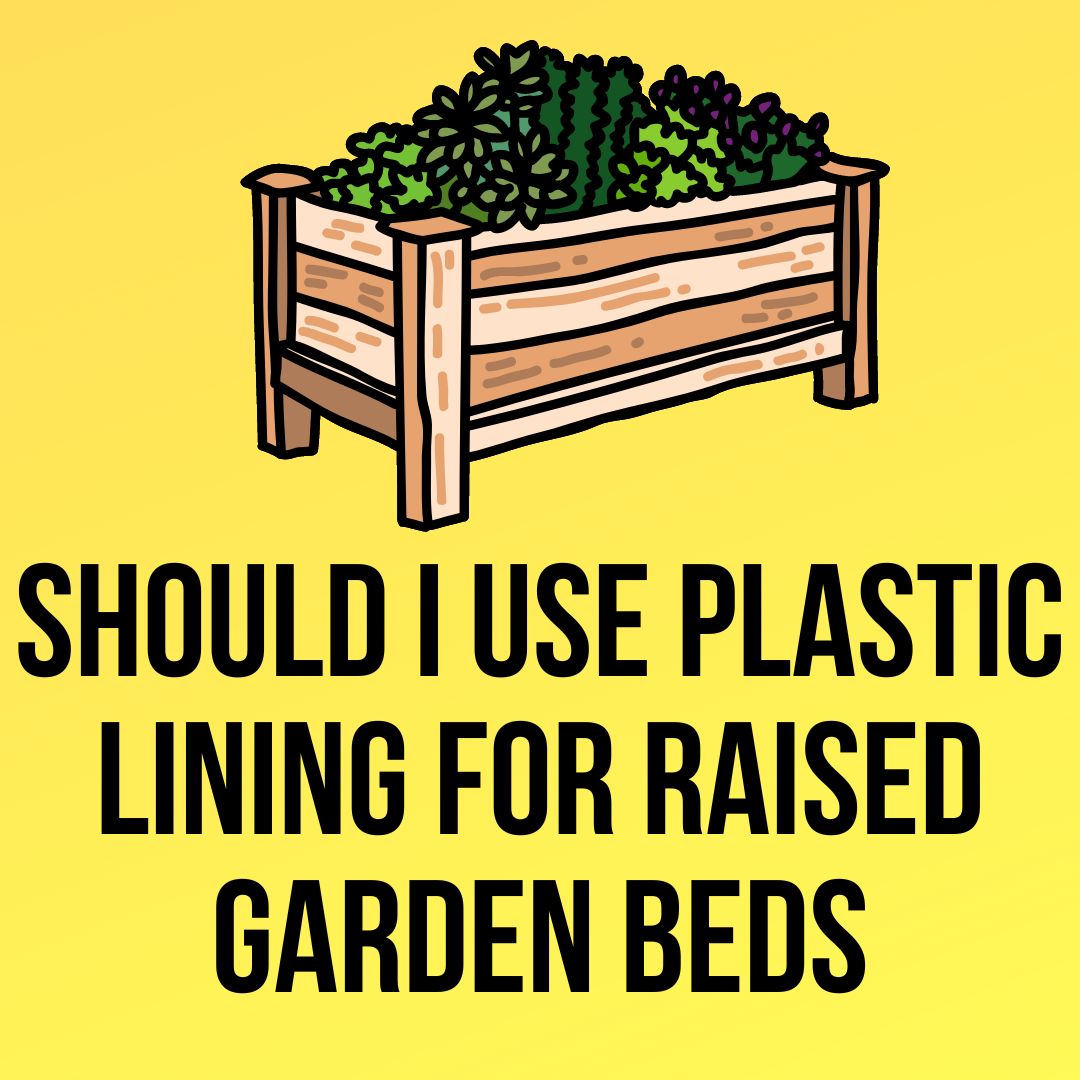 Should I Use Plastic Lining For Raised Garden Beds